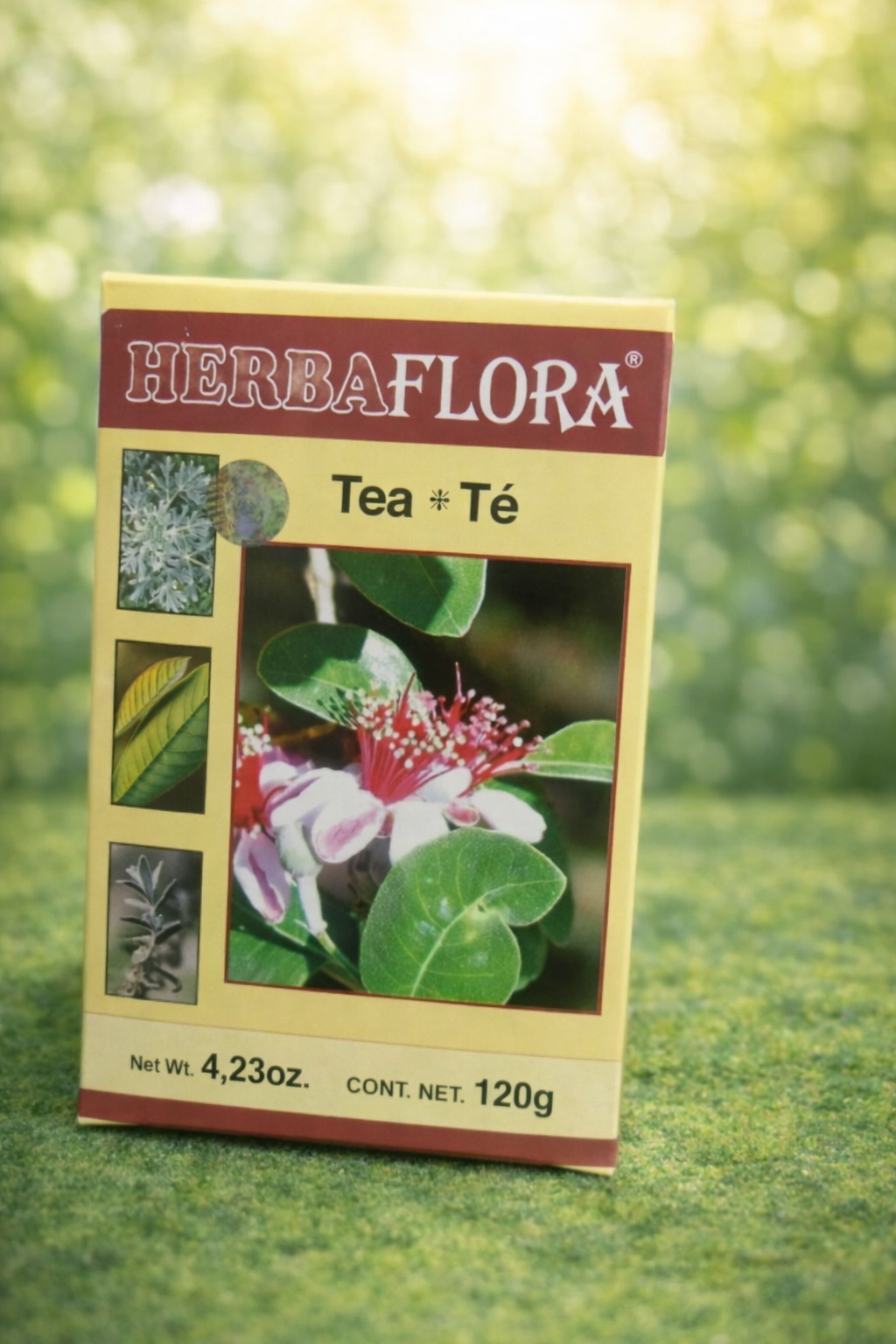 HERBAFLORA